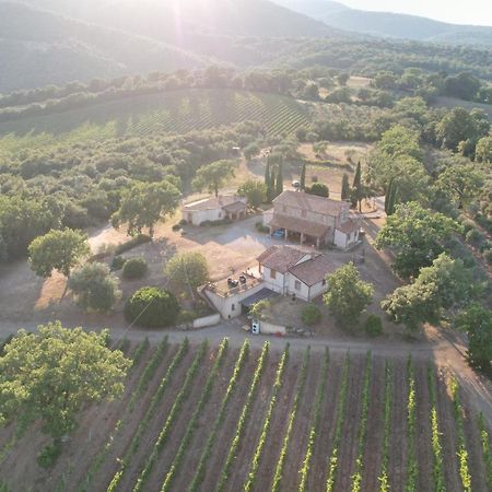 Agriturismo Belvedere Di Pierini E Brugi Campagnatico Екстериор снимка