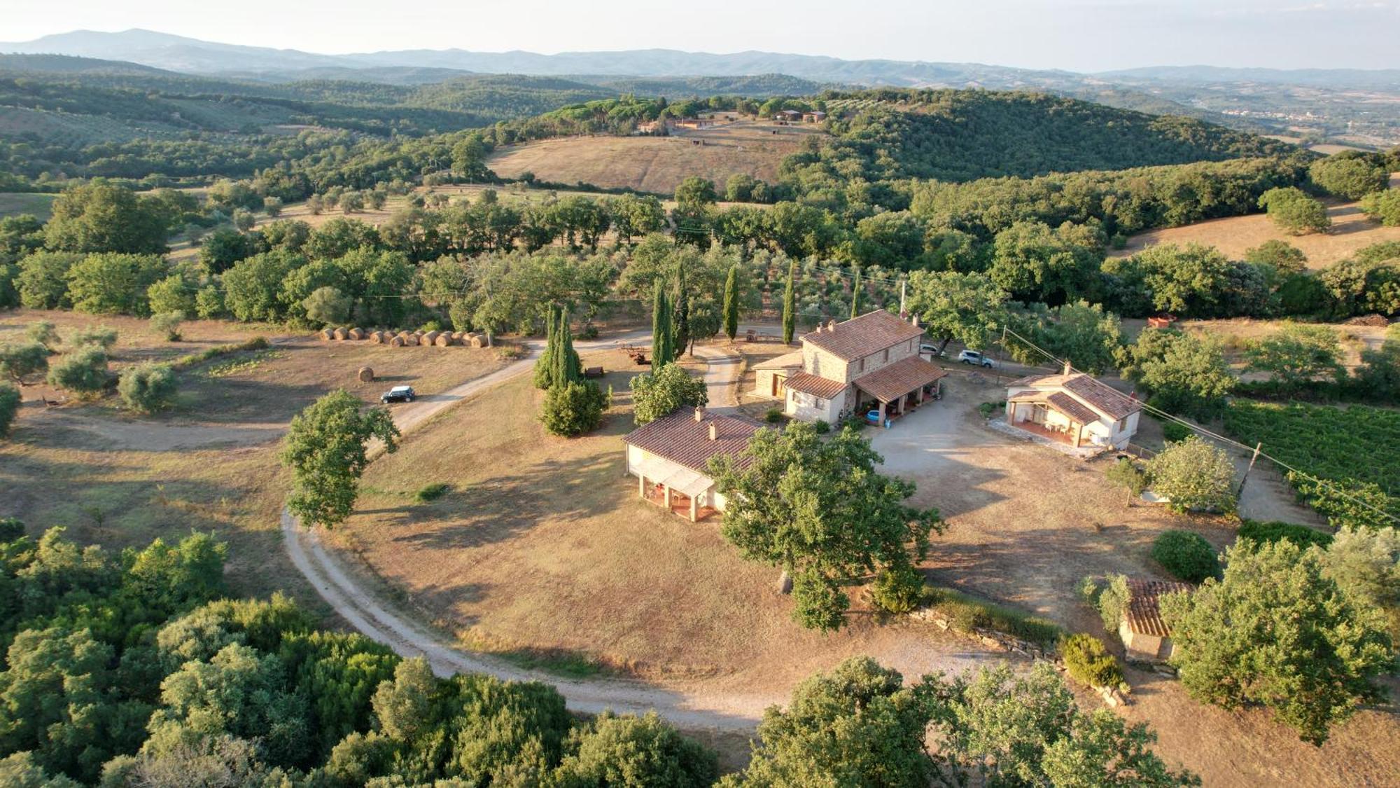 Agriturismo Belvedere Di Pierini E Brugi Campagnatico Екстериор снимка