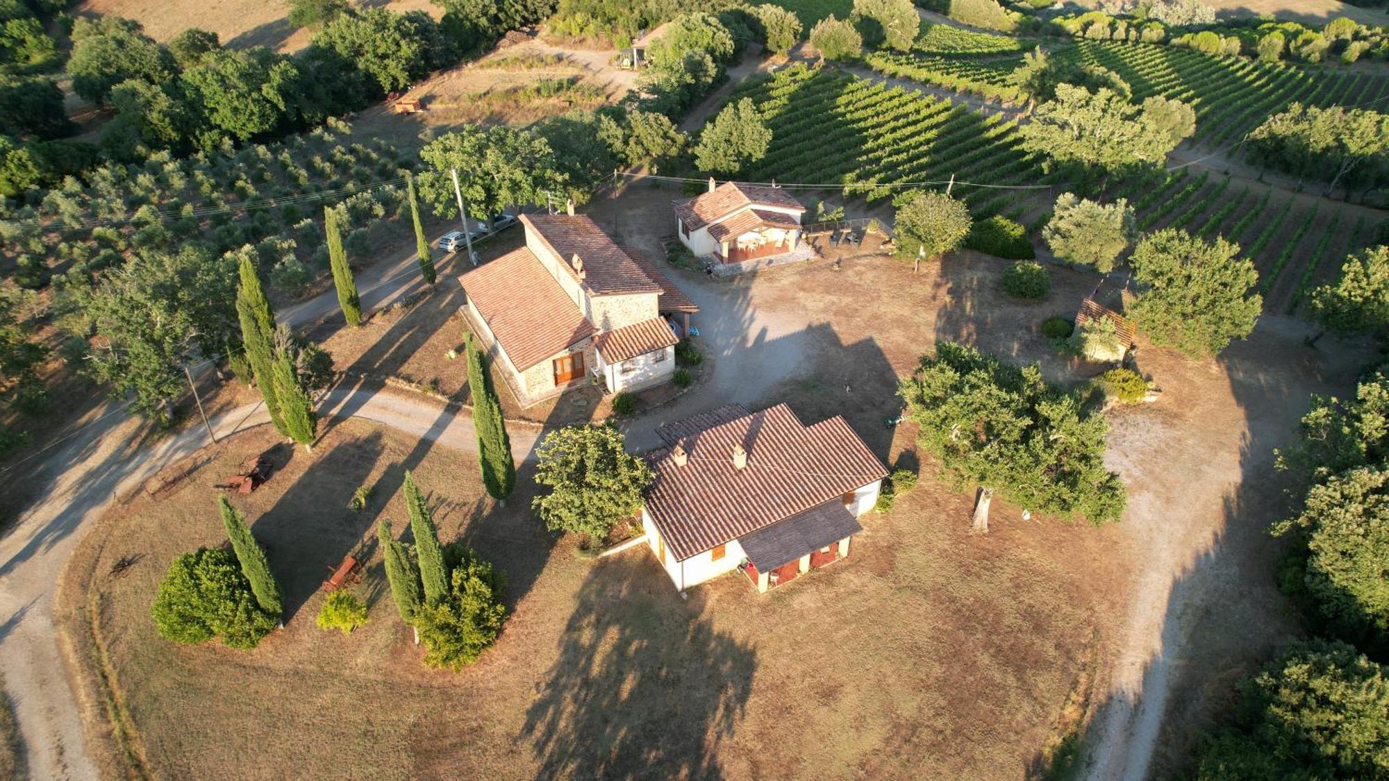 Agriturismo Belvedere Di Pierini E Brugi Campagnatico Екстериор снимка