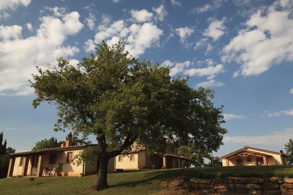 Agriturismo Belvedere Di Pierini E Brugi Campagnatico Екстериор снимка