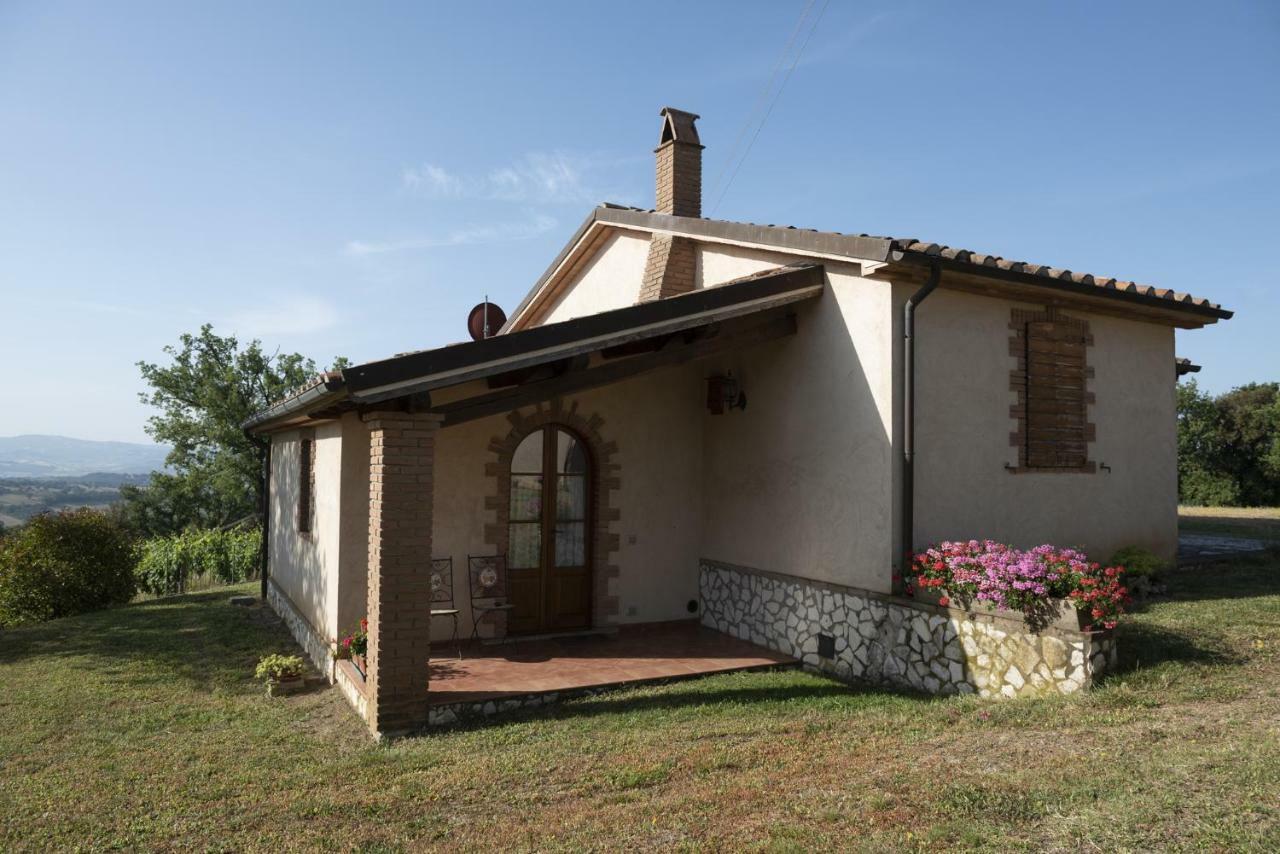 Agriturismo Belvedere Di Pierini E Brugi Campagnatico Екстериор снимка