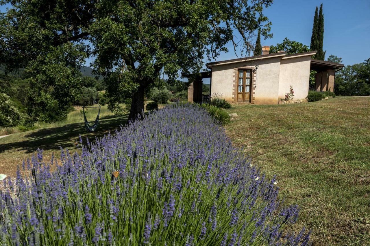 Agriturismo Belvedere Di Pierini E Brugi Campagnatico Екстериор снимка